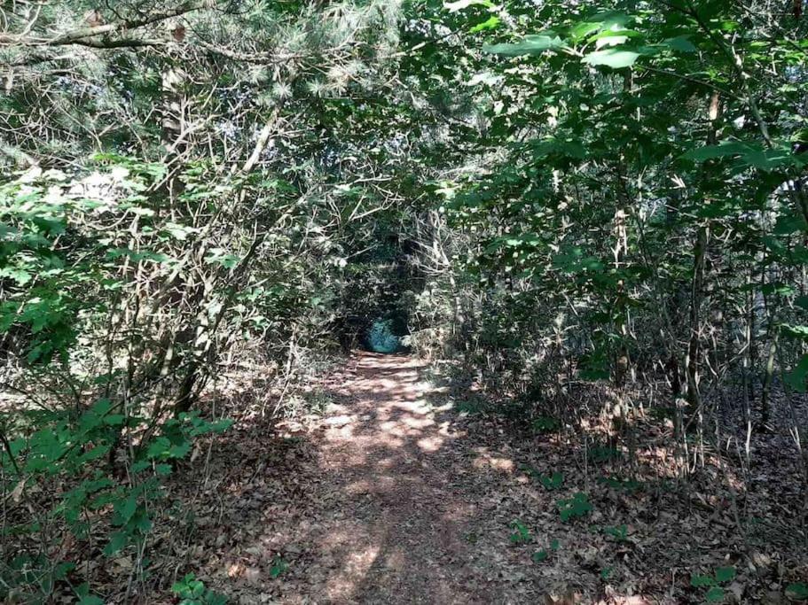 Elsloo  Vakantiehuis Eikzicht Gelegen Aan Het Bos מראה חיצוני תמונה