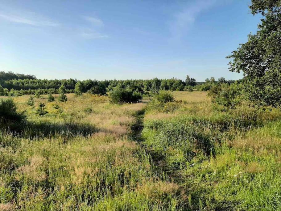 Elsloo  Vakantiehuis Eikzicht Gelegen Aan Het Bos מראה חיצוני תמונה