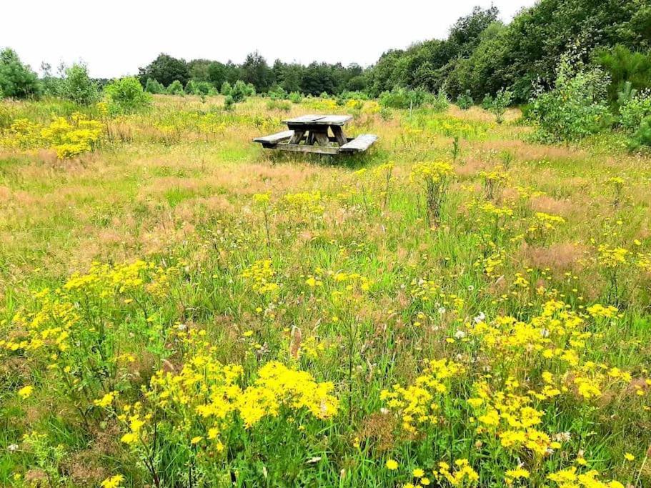 Elsloo  Vakantiehuis Eikzicht Gelegen Aan Het Bos מראה חיצוני תמונה