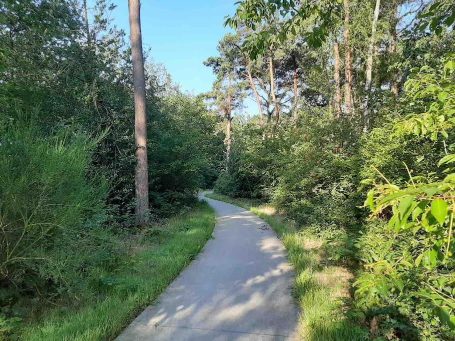 Elsloo  Vakantiehuis Eikzicht Gelegen Aan Het Bos מראה חיצוני תמונה