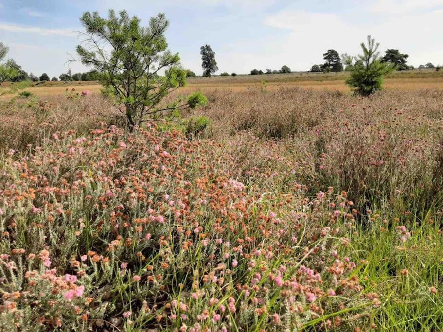 Elsloo  Vakantiehuis Eikzicht Gelegen Aan Het Bos מראה חיצוני תמונה